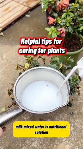 Secrets to Caring for Flowering Plants 🌸 Healthy Growth & Beautiful Blooms! #short