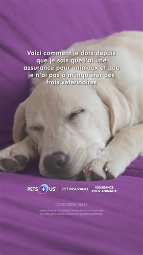 Pets Plus Us insurance coverage can help you choose the best care for your pet, with less worry about the cost and more time for sofa snuggles and playtime. 🐶🐱 Costco members receive up to 15% off and a complimentary first month. petsplusus.com/Costco *** L'assurance Pets Plus Us vous aide à choisir les meilleurs soins possibles pour votre animal, sans avoir à vous soucier des coûts. Vous passez moins de temps à calculer, et plus de temps à câliner ! 🐶🐱 Les membres de Costco reçoivent jusqu'