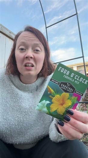 Survival Garden Seeds Four O’Clock Formula Mix Seeds for Planting Review: Is It Worth it? (2026)