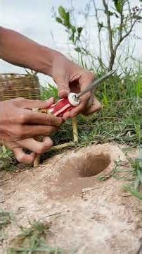 Amazing! SMART idea and USEFUL with DIY Snake trap #bushcraft #camping #Outdoors #useful #fishing