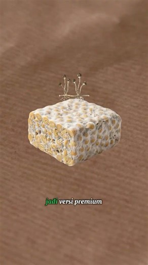 The Origin of Tempeh