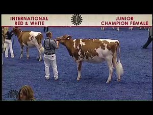 World Dairy Expo Live Stream