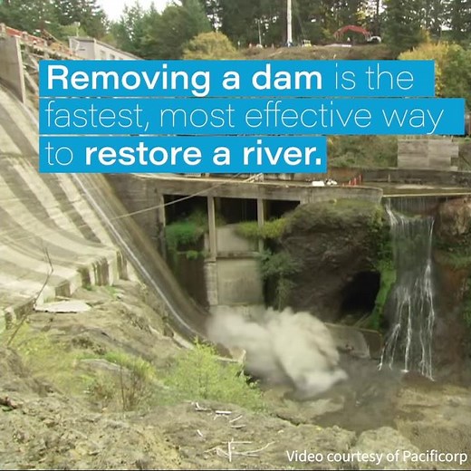 Why Remove Dams?