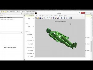 Human Body Walking Matlab