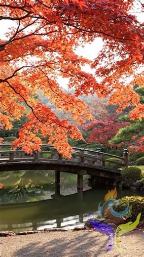 🍁 RED MAPLE SILENCE – Japanese Fall Meditation 🍁