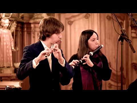 Telemann, concerto for oboe, violin and flutes // Musica Gloria