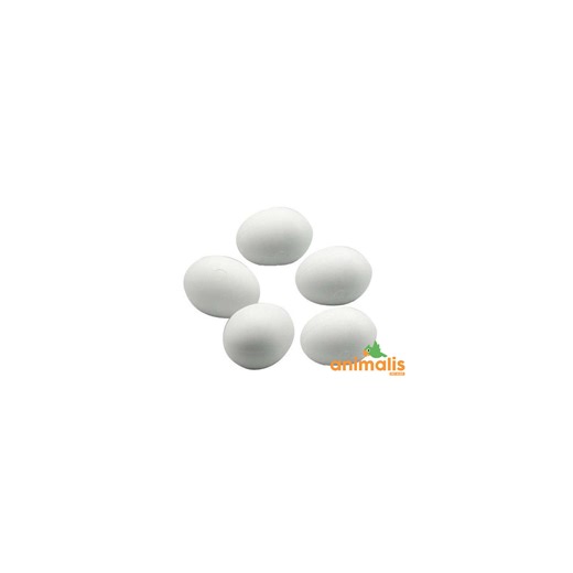 Oeufs factices pour grande perruches - 1 pièce