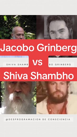 Desprogramación de Consciencia: El Despertar y la Conexión con el Ser Interior