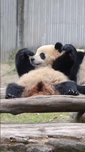 rotary union parts #rotary #cncmachine#dannhydraulic