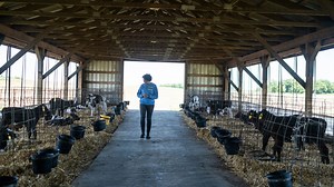 Why the USDA expects farm income to plummet in 2024