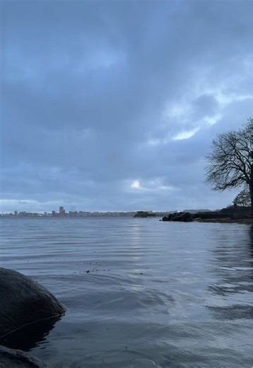 Sounds of Raindrops & Gentle Waves. #raindrops #waves #ocean