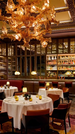 Explore the newly revamped The Dorchester, following a multi-million-pound makeover🔑 The luxury hotel, on London’s iconic Park Lane, has unveiled extensive renovations just in time for the festive season.🎄 Tap the link in our bio for a full tour and review with Digital Editorial Director Zoe Gunn. #LuxuryLondon #Luxuryhotels #LuxuryTravel #LondonHotels #thedorchester | Luxury London