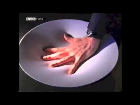 BBC iScience Evolution of Eye