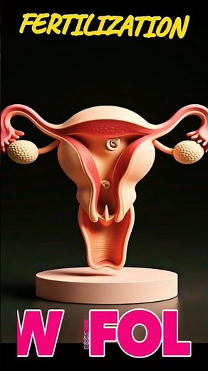 Female Reproductive System Explained | Anatomy & Functions | Educational Biology Short#science