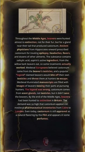 Why Medieval Manuscripts Show Beavers Biting Off Parts?