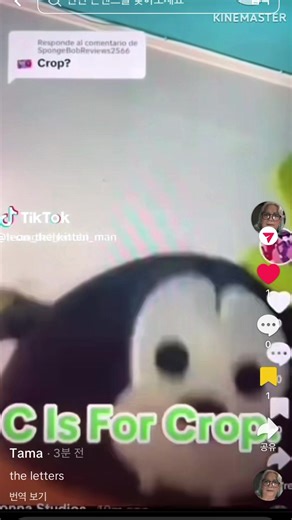 오리지널 사운드 - PBS kids이(가) 포함된 PBS kids (@leon_the_kitten_man) 님의 동영상