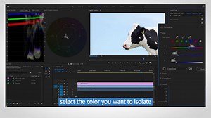How to change colors one at a time with HSL Secondary in Premiere Pro