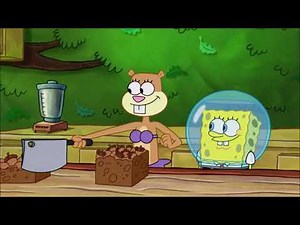 SpongeBob SquarePants episode Sandy's Nutmare aired on January 24, 2003