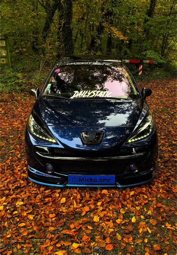 Tuning d'une Peugeot 207 : Style et Performance