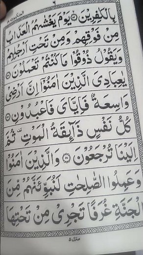 Peer Ajmal Raza Qadri Bayan ♥️🤲💚#bayan #peerajmalrazaqadri #motivationalvideo#sirazalivlogger