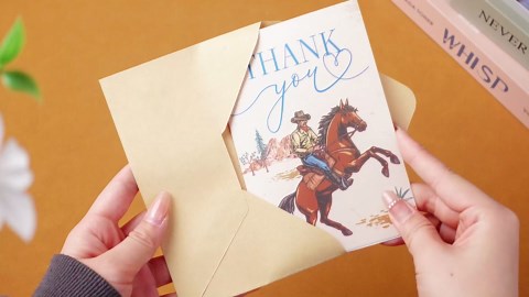 Motiskyy 50 Set Western Cowboy Thank You Cards with Envelopes and Stickers, Appreciation Greeting Blank Note Cards for Teacher Baby Shower Bridal Party