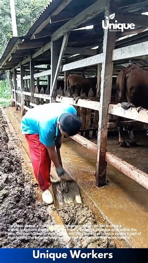 Clearing the Cattle Pen: Manual Labor and Cleaning