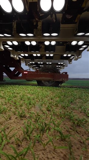 Laser weed removal 𝗥𝗦 𝗔𝗚𝗥𝗢 𝗙𝗔𝗥𝗠 | 𝗥𝗦 𝗔𝗚𝗥𝗢 𝗙𝗔𝗥𝗠