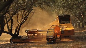 13K views · 311 reactions | Shake, shake, shake. Shake your almonds! The first step of harvest is to shake the almonds onto the ground. Next, they dry in the sun for a few days, then they are gathered for shelling. #AlmondTour | California Almonds | Facebook