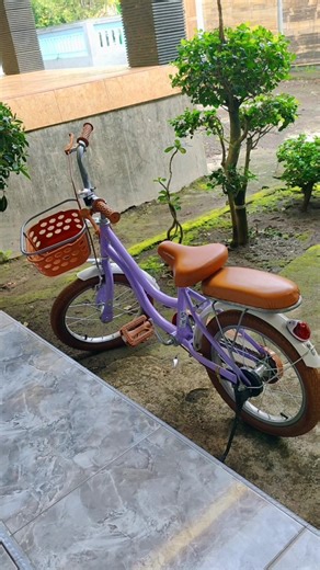 Sepeda anak new Phoenix model terbaru kuat murah #review #sepeda #sepedaanak