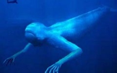 疑日本人造生物：Ningen （使徒）