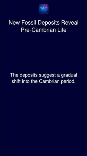 New Fossil Deposits Reveal Pre-Cambrian Life