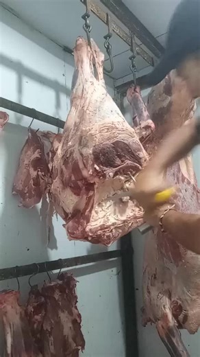 Exploring Raw Meat Cuts in Refrigerated Storage