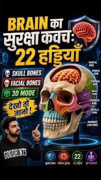 BRAIN का सुरक्षा कवच 🧠 | Skull Bones | Facial Bones | #Goodhints #shorts #biology