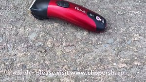 Check out our new video on how to use the Liveryman Classic Trimmer on ears and under the chin, featuring our very own Archie . Demonstrated by Smart Grooming and provided by Agrihealth. Put in HD for the best quality! Order here: http://www.clippersharp.com/prod/liveryman-classic-trimmer | Clippersharp