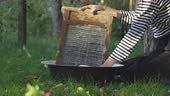 Close-up of a woman's hands washing clothes on old vintage washboard...