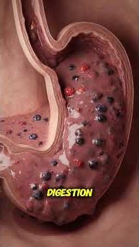 Drinking a Smoothie — What Happens in Your Digestive System #digestivehealth #digestivesystem