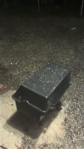 When cute cookie gaming .just a normal rain but it’s a hail storm and dancing outside, be like.