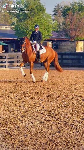 Mesmerizing Horse Dressage Pirouette Compilation