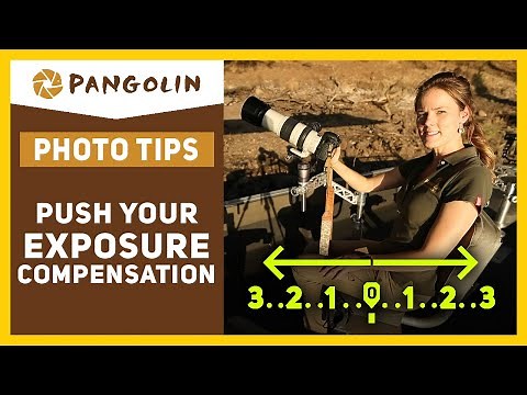 Exposure compensation for wildlife photography.