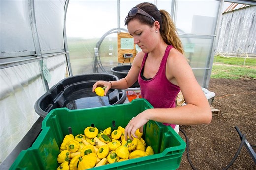 Agricultural Science & Technology