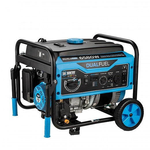 Reviews for Pulsar 6,580/5,300 -Watt Dual-Fuel Gasoline and Propane with Recoil Start Portable Home Power Generator, CO Shutoff | Pg 1 - The Home Depot