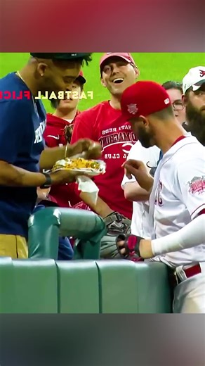 Baseball Tips for Beginners: Improve Your Game Today