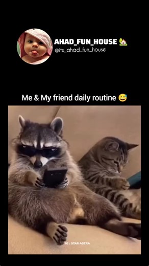 Follow For More 🎀🫶