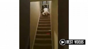 76K views · 209 shares | Best Stairs Fails 藍 | Best videos | Facebook