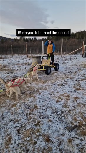 This is why we give a lot of instructions and training before we bring you #dogsledding 😅 | Pirate Husky