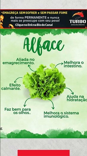 O segredo da alface que ninguém te conta! 😱 #saude