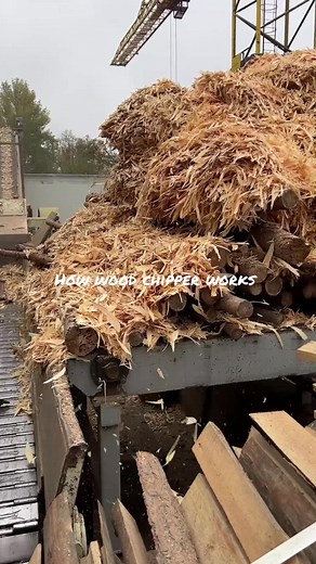 Efficient Wood Chipper Operation for Lumber Projects