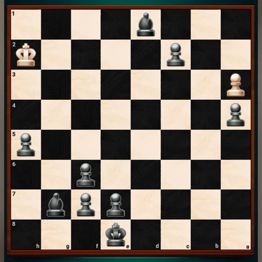 Human vs computer who will win (Chess YT)