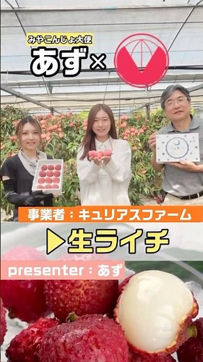 希少な国産【生ライチ】を育てている《Curious Farm（キュリアスファーム）》