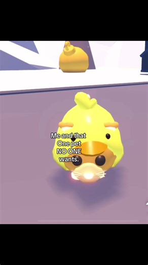 bro someone please. I want a Cabbit so bad but IM UNDERR😩😔 #gingercatadoptme #adoptme #fyppppppppppppppppppppppp #fyp #robloxfyp